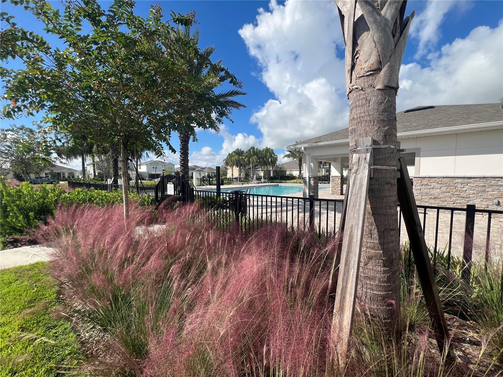 Image 36 of 43 For 6091 Forest Perch Drive