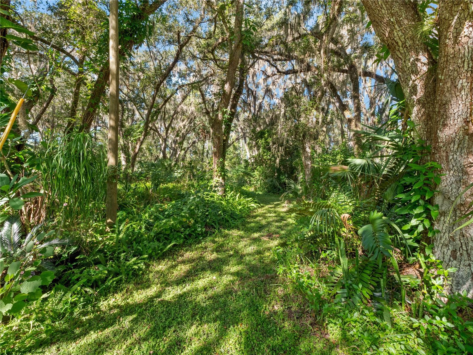 Image 12 of 48 For 1385 Enterprise Osteen Road