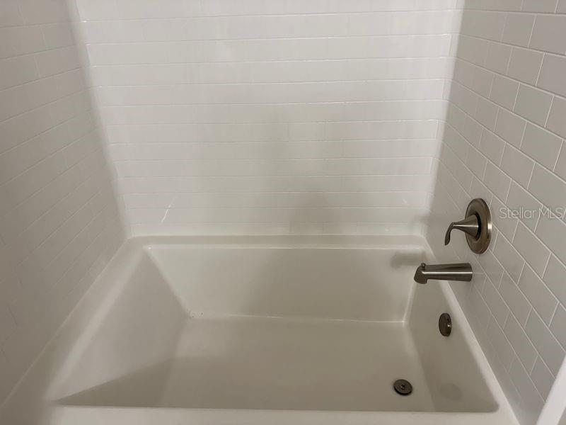 Image 5 of 10 For 2148 Angel Fish Loop