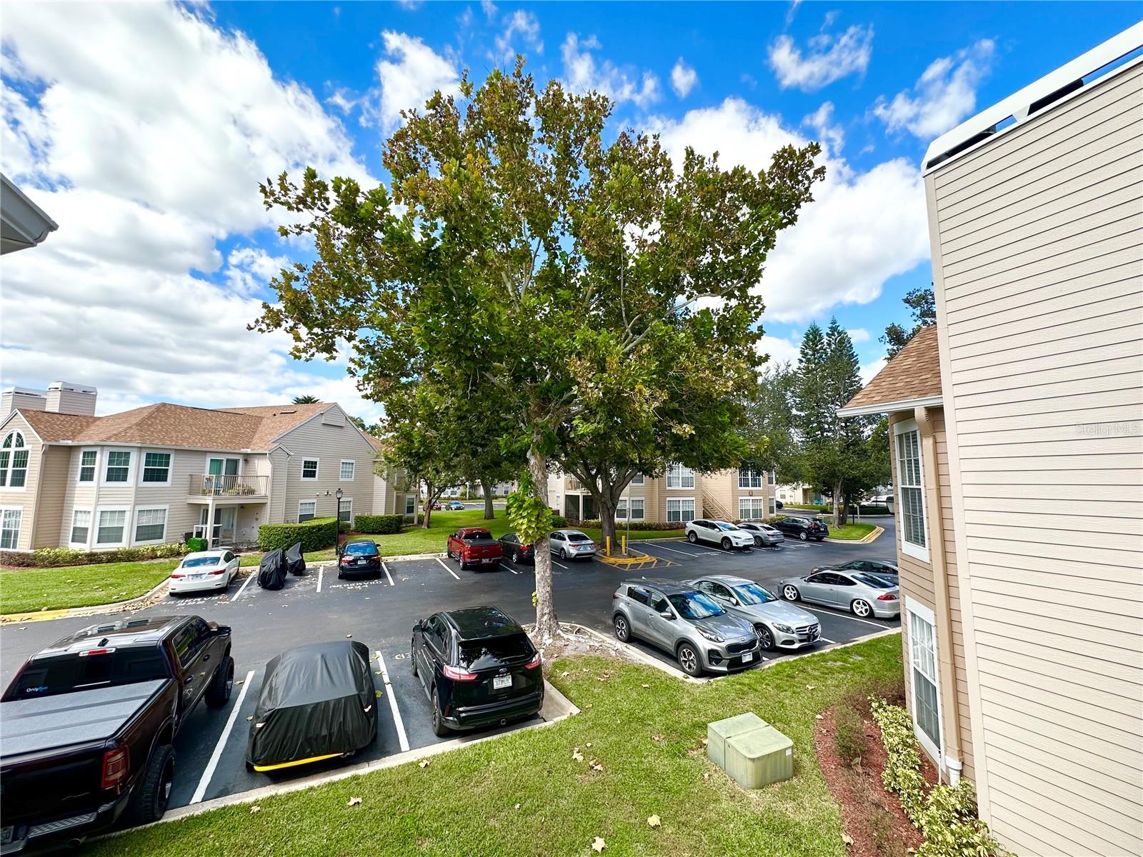 Image 37 of 37 For 654 Roaring Drive 228