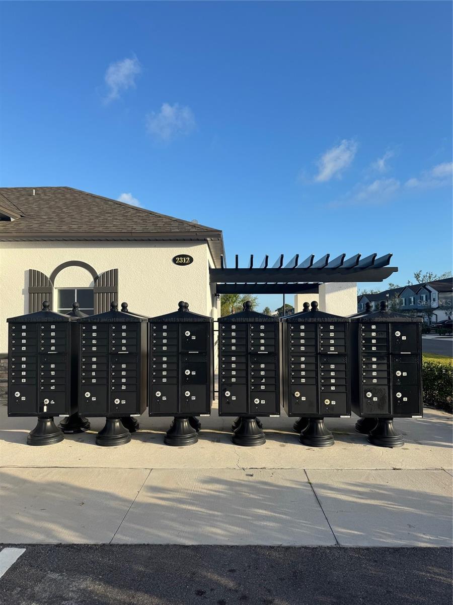 Image 4 of 25 For 231 Cape Honeysuckle Place