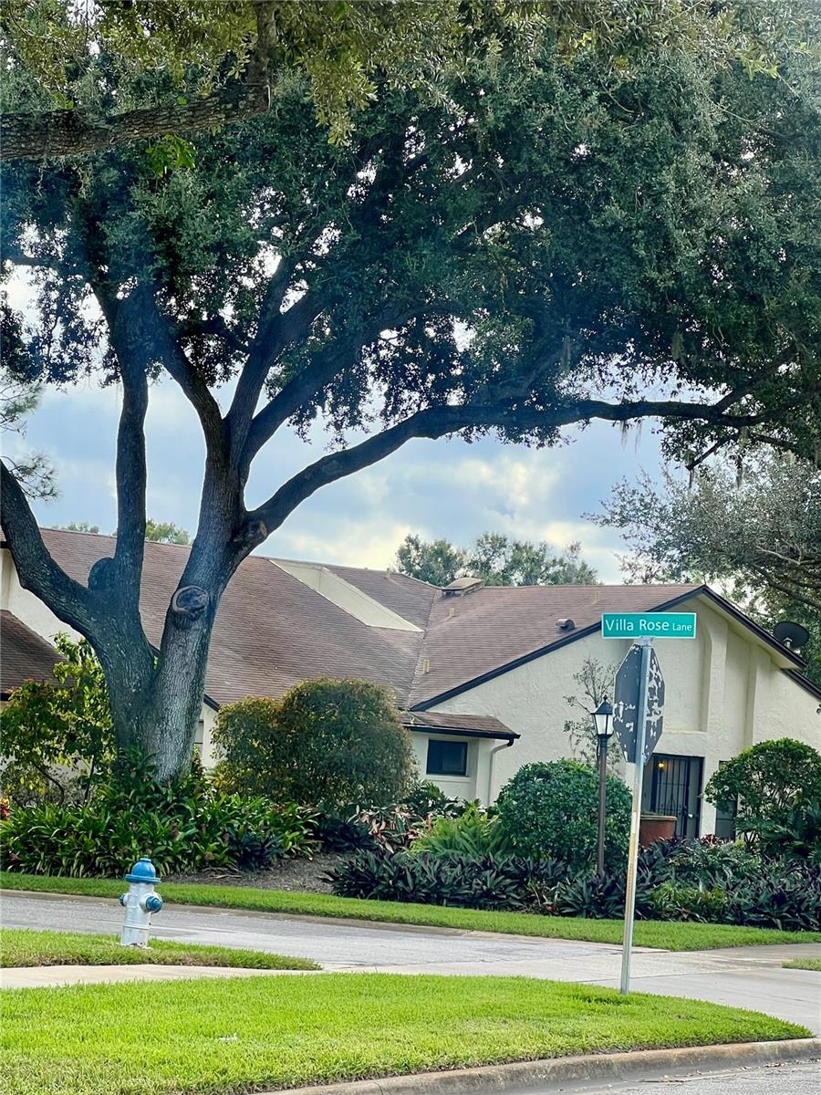 Image 4 of 13 For 3880 Villa Rose Lane