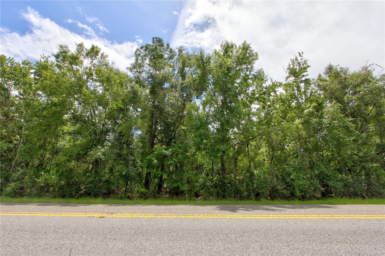 Listing Details for Starry Street Lot 4, ORLANDO, FL 32833
