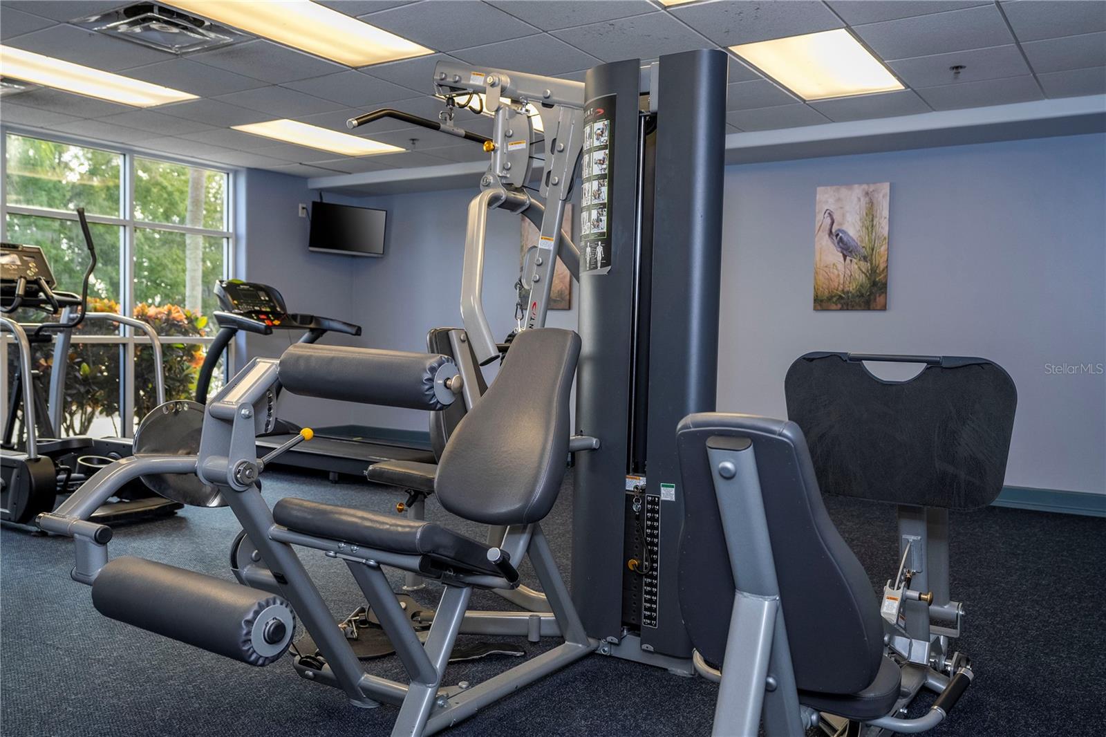 Image 55 of 75 For 13415 Blue Heron Beach Drive 1401