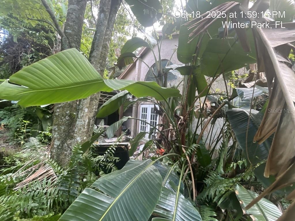 Details for 1509 Sugarwood Circle, WINTER PARK, FL 32792