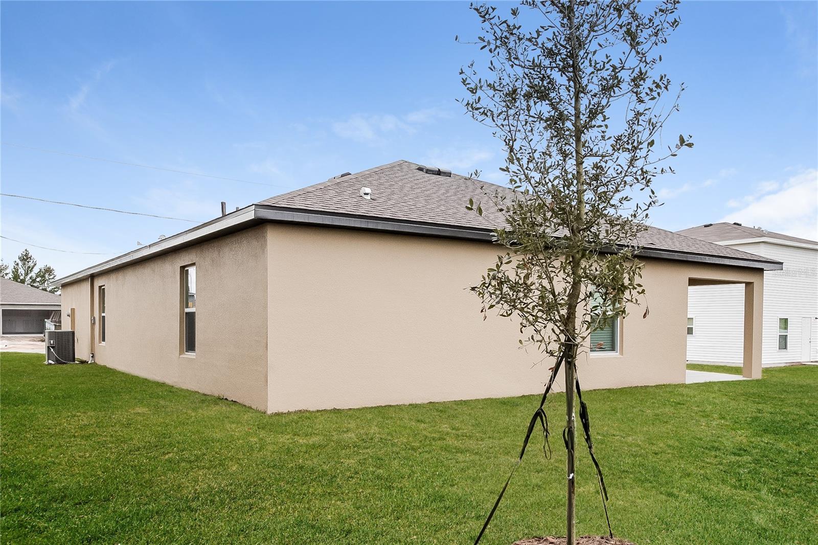 Image 15 of 16 For 349 Daffodil Lane