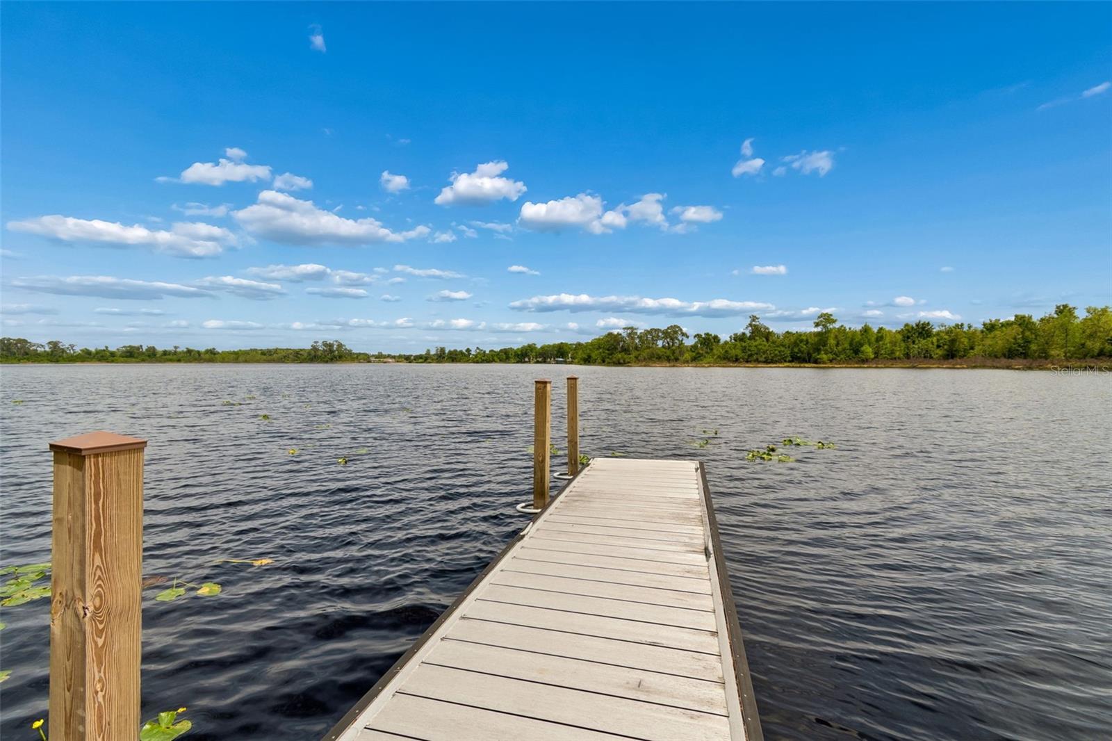 Image 52 of 58 For 10698 Royal Cypress Way