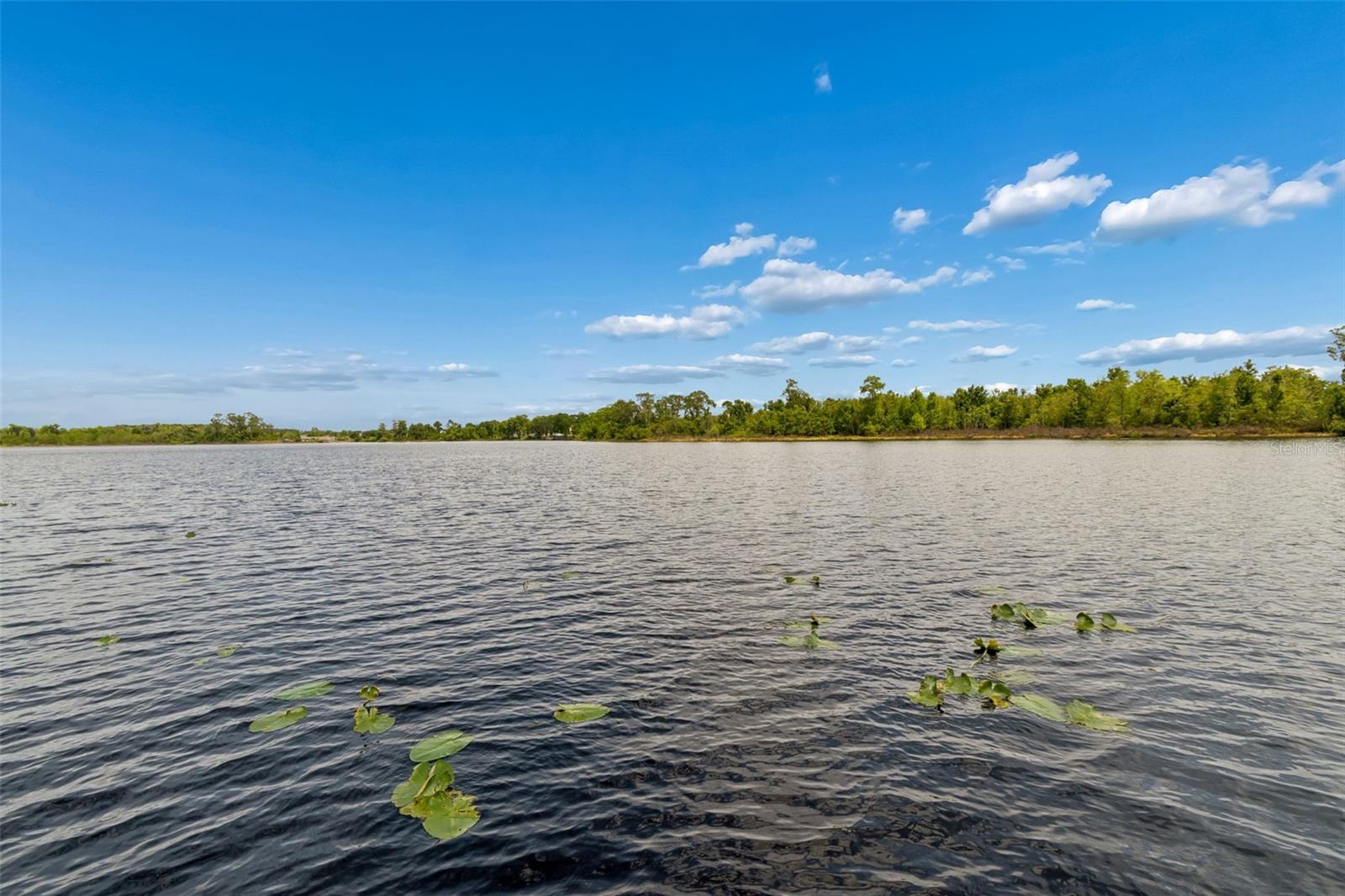 Image 53 of 58 For 10698 Royal Cypress Way