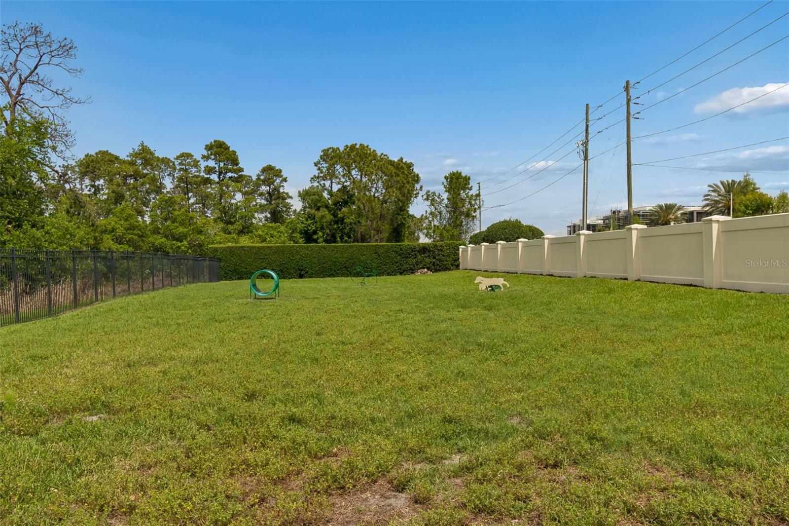 Image 56 of 58 For 10698 Royal Cypress Way