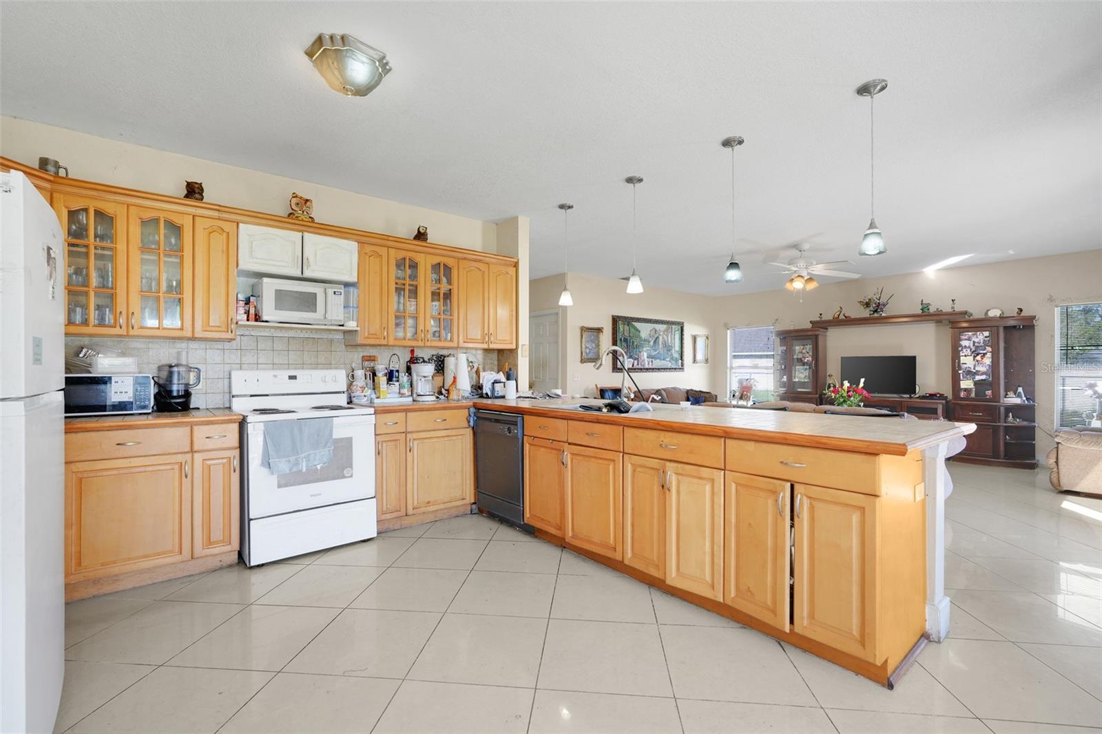 Image 10 of 44 For 590 Kilimanjaro Drive