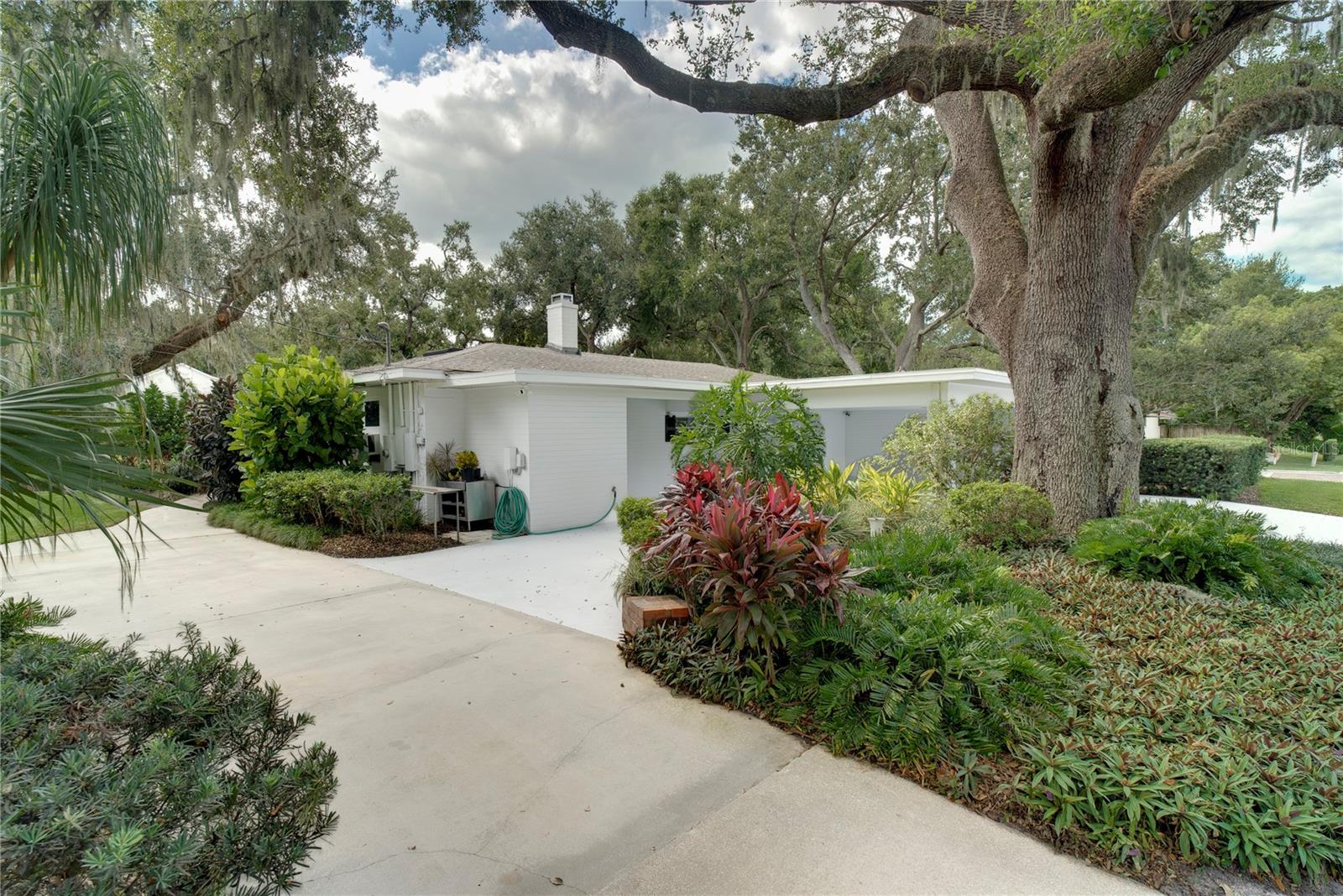 Image 40 of 51 For 241 Dillard Street