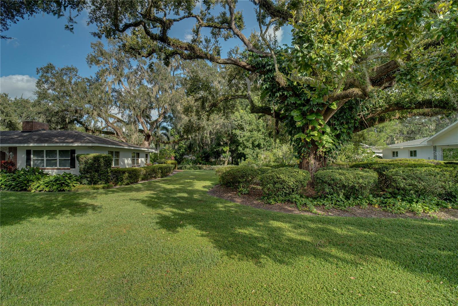 Image 44 of 51 For 241 Dillard Street