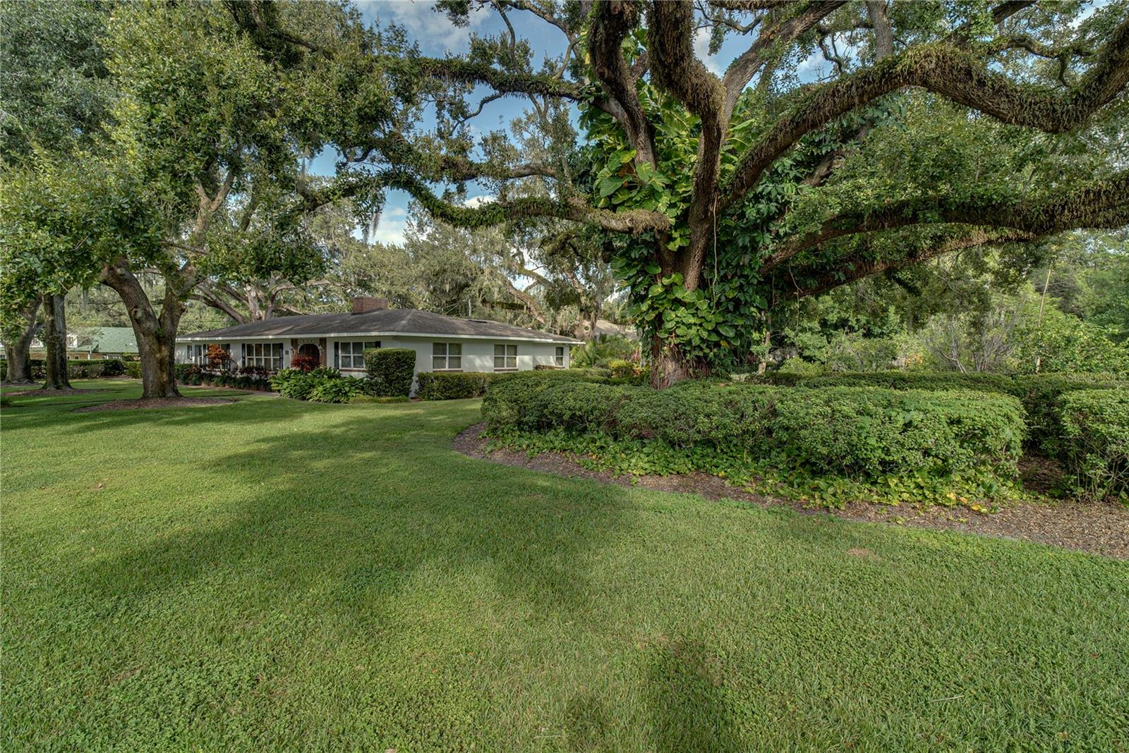 Image 45 of 51 For 241 Dillard Street