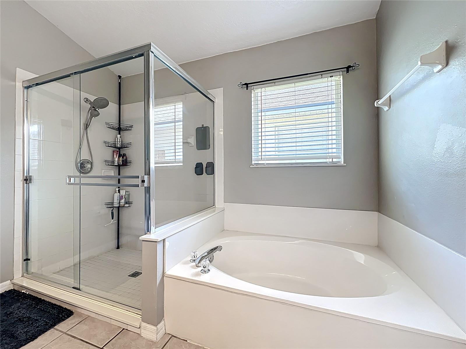 Image 28 of 44 For 2693 Bellewater Place