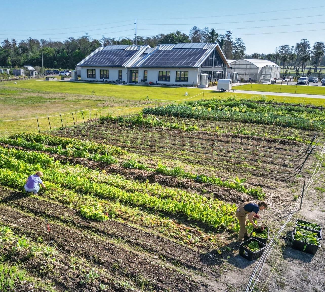 Image 40 of 46 For 2138 Whitney Marsh Alley