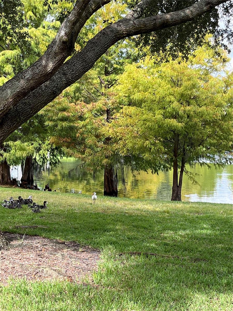 Image 42 of 49 For 2459 Caravelle Circle