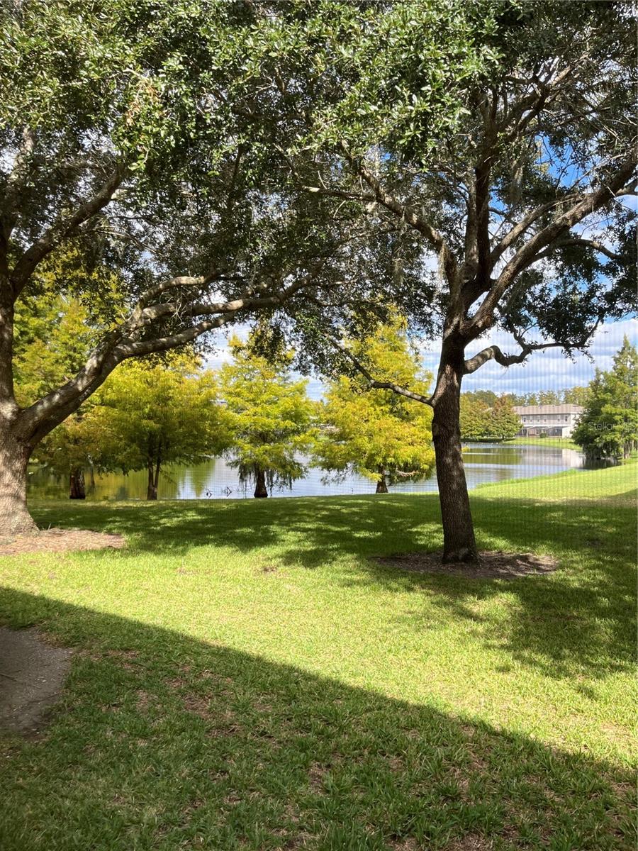 Image 43 of 49 For 2459 Caravelle Circle