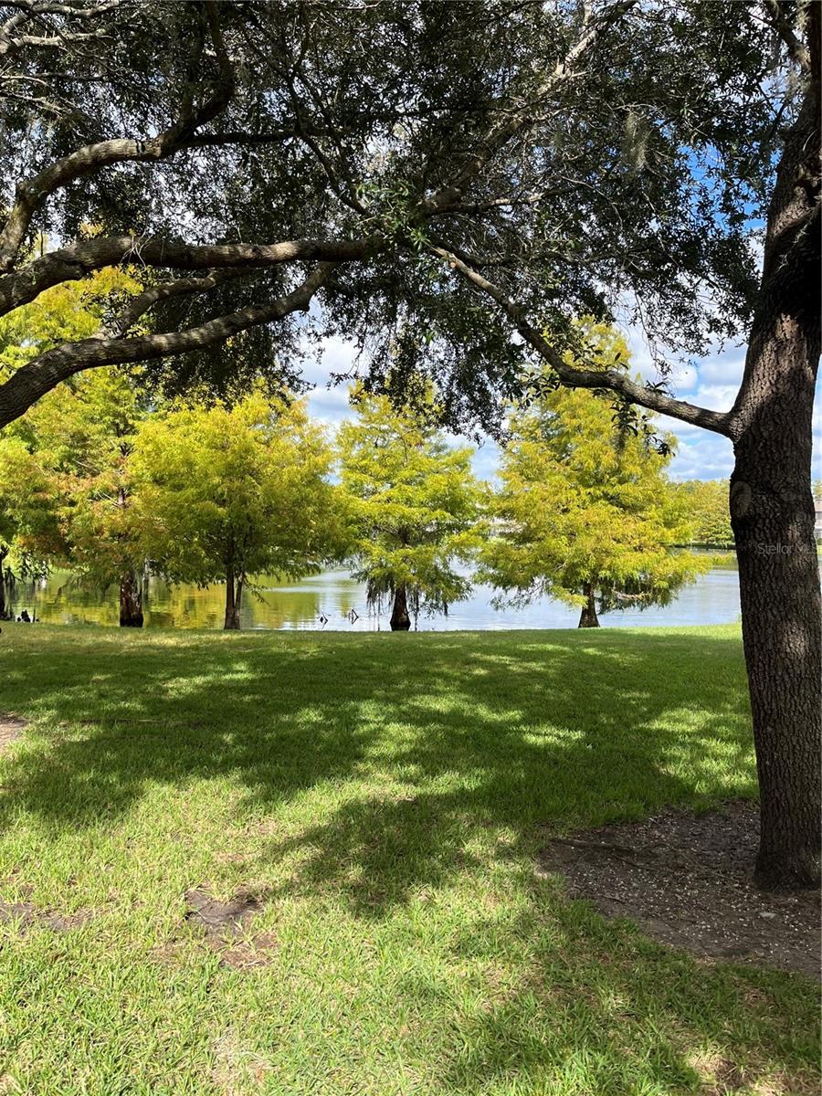 Image 44 of 49 For 2459 Caravelle Circle