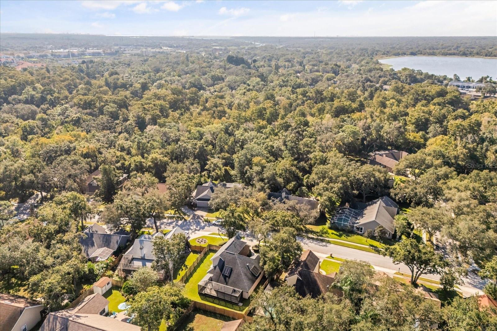 Image 39 of 41 For 3469 Rolling Trail