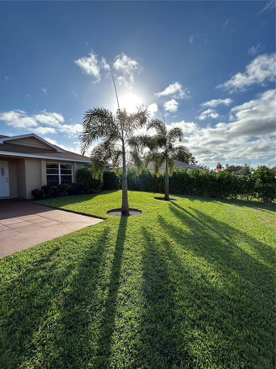 Image 16 of 16 For 2232 Longhorn Avenue