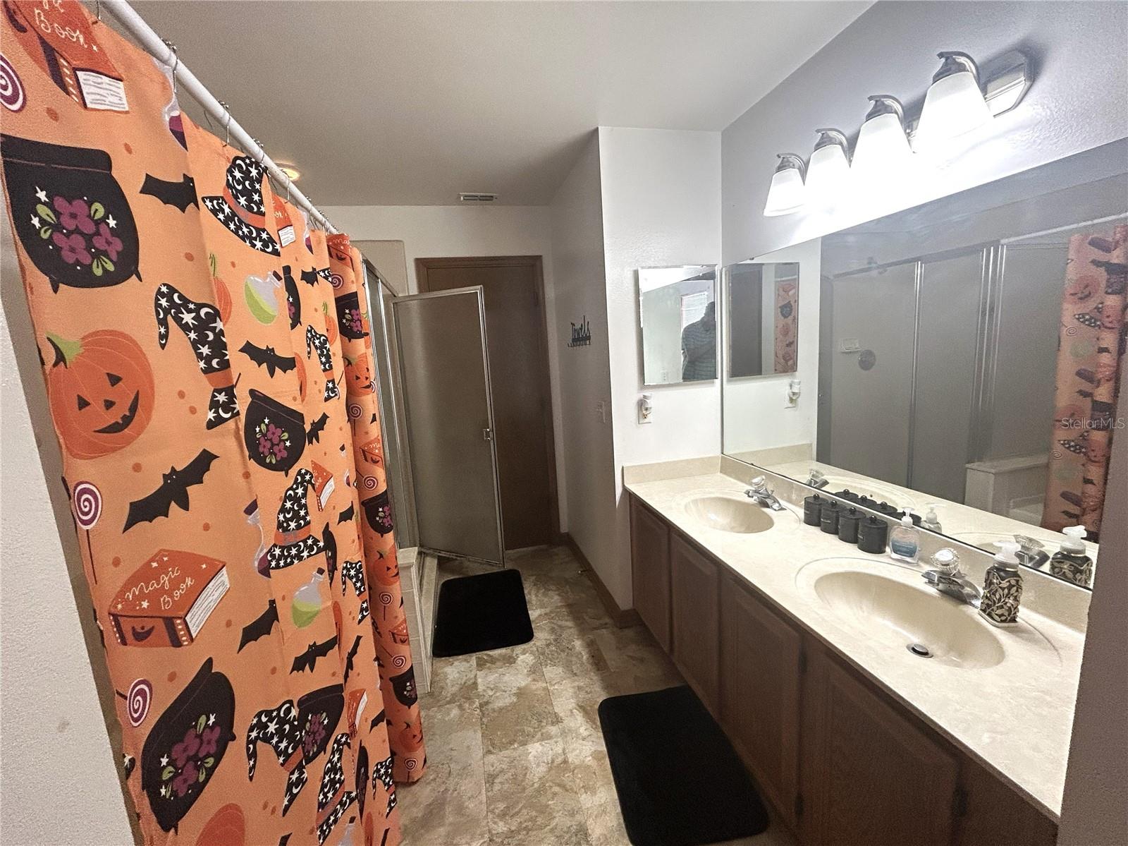 Image 19 of 24 For 12823 Sharp Shined Street