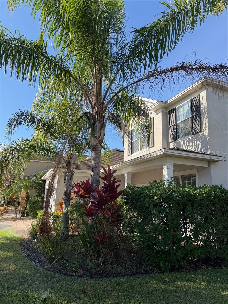 Image 3 of 21 For 1524 Balsam Willow Trail