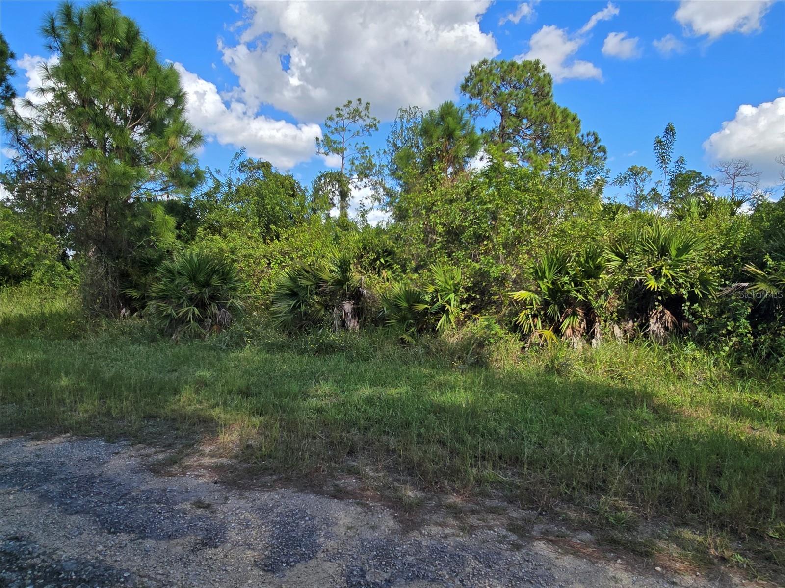 Image 6 of 7 For 425 Wilder Avenue S