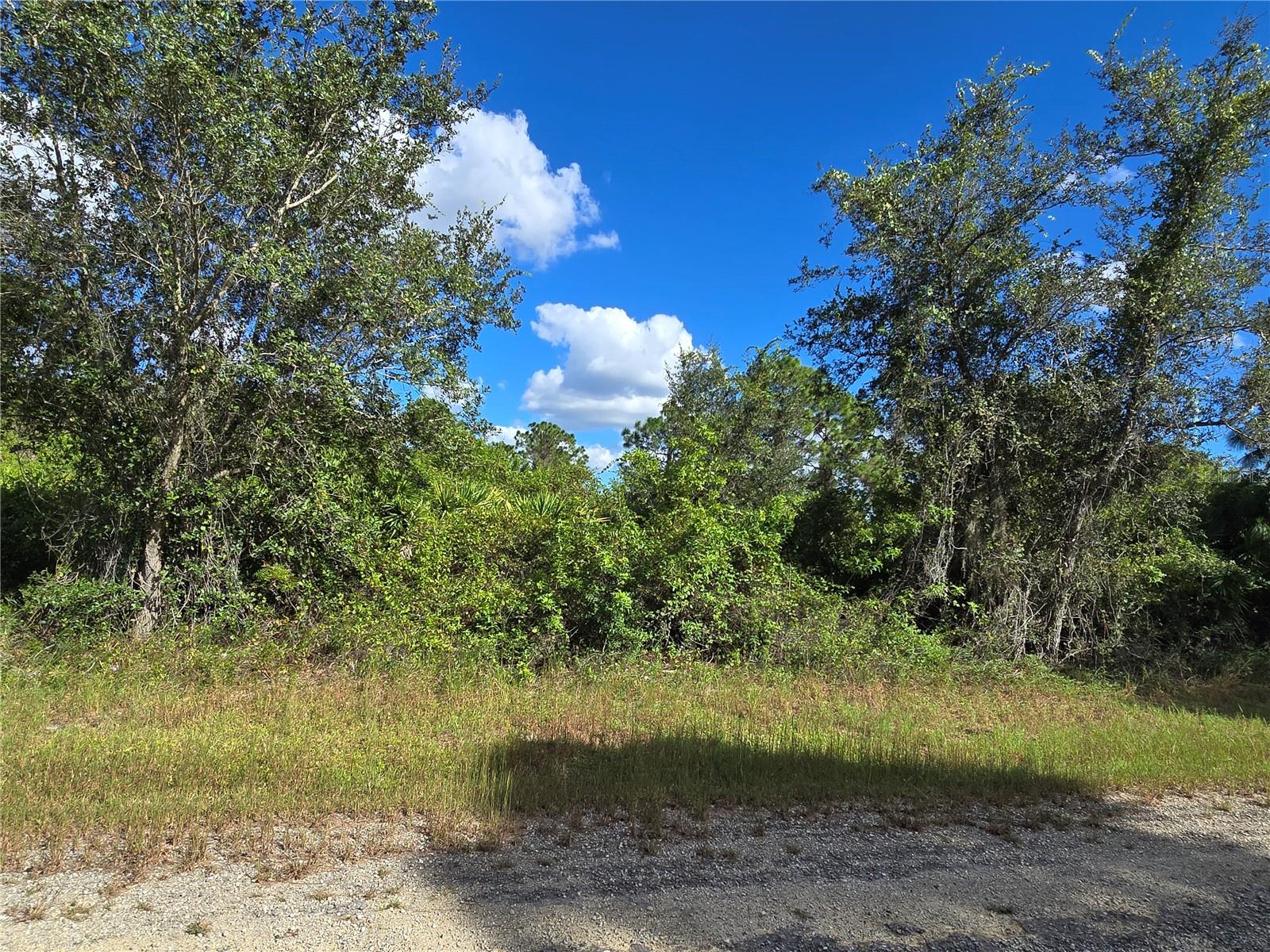 Image 5 of 5 For 419 Wilder Avenue S