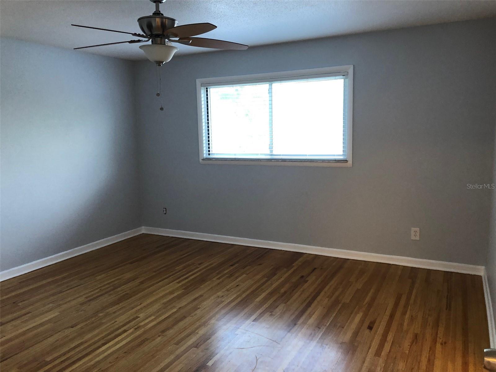 Image 12 of 25 For 303 Earl Street