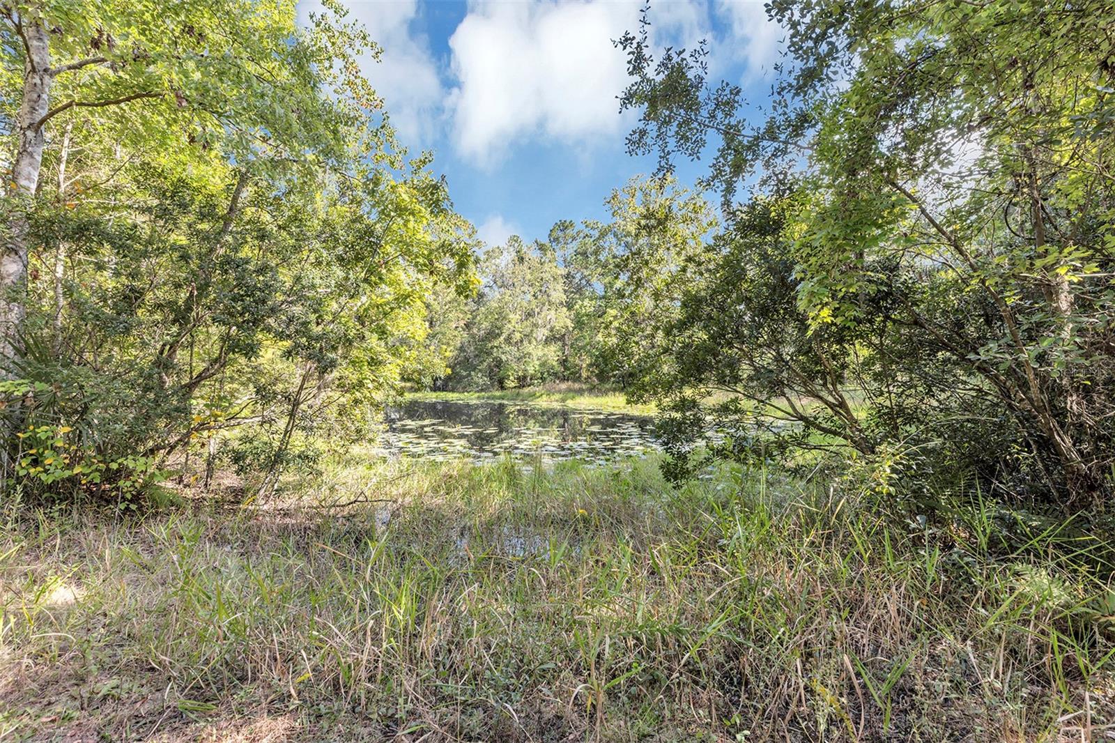 Image 10 of 43 For 140 Buffalo Bluff Road