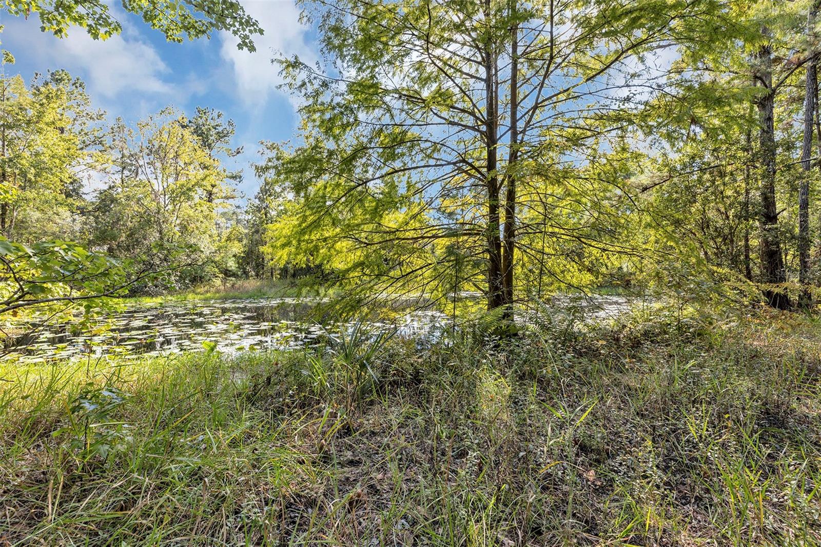 Image 11 of 43 For 140 Buffalo Bluff Road