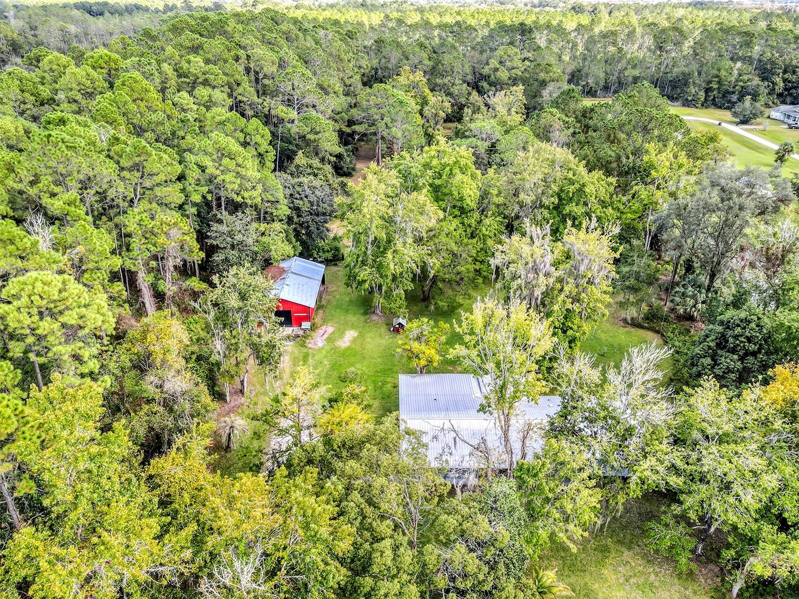 Image 37 of 43 For 140 Buffalo Bluff Road