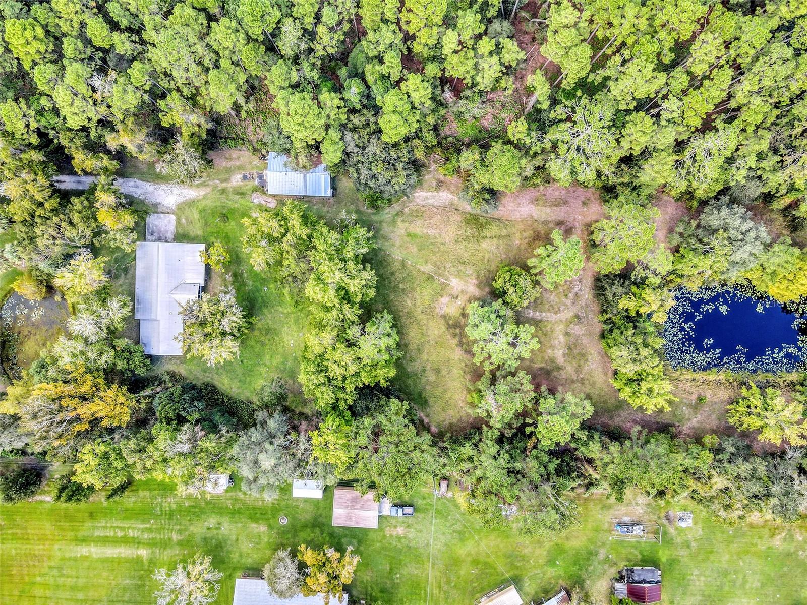 Image 39 of 43 For 140 Buffalo Bluff Road