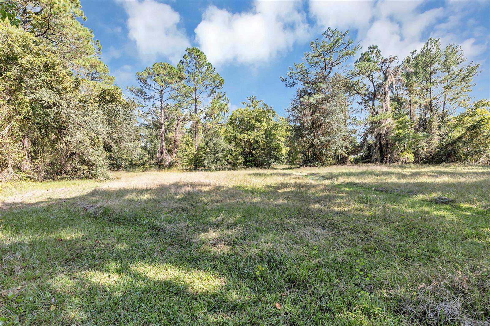 Image 9 of 43 For 140 Buffalo Bluff Road