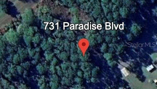 Details for 731 Paradise Boulevard, GEORGETOWN, FL 32139
