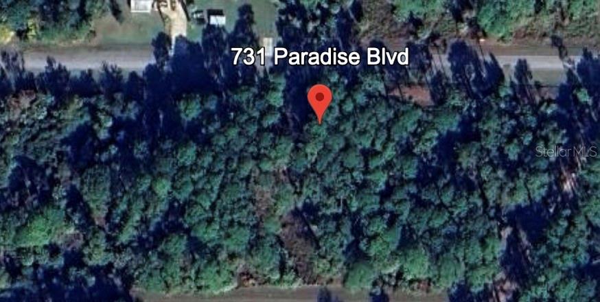 Image 5 of 15 For 731 Paradise Boulevard