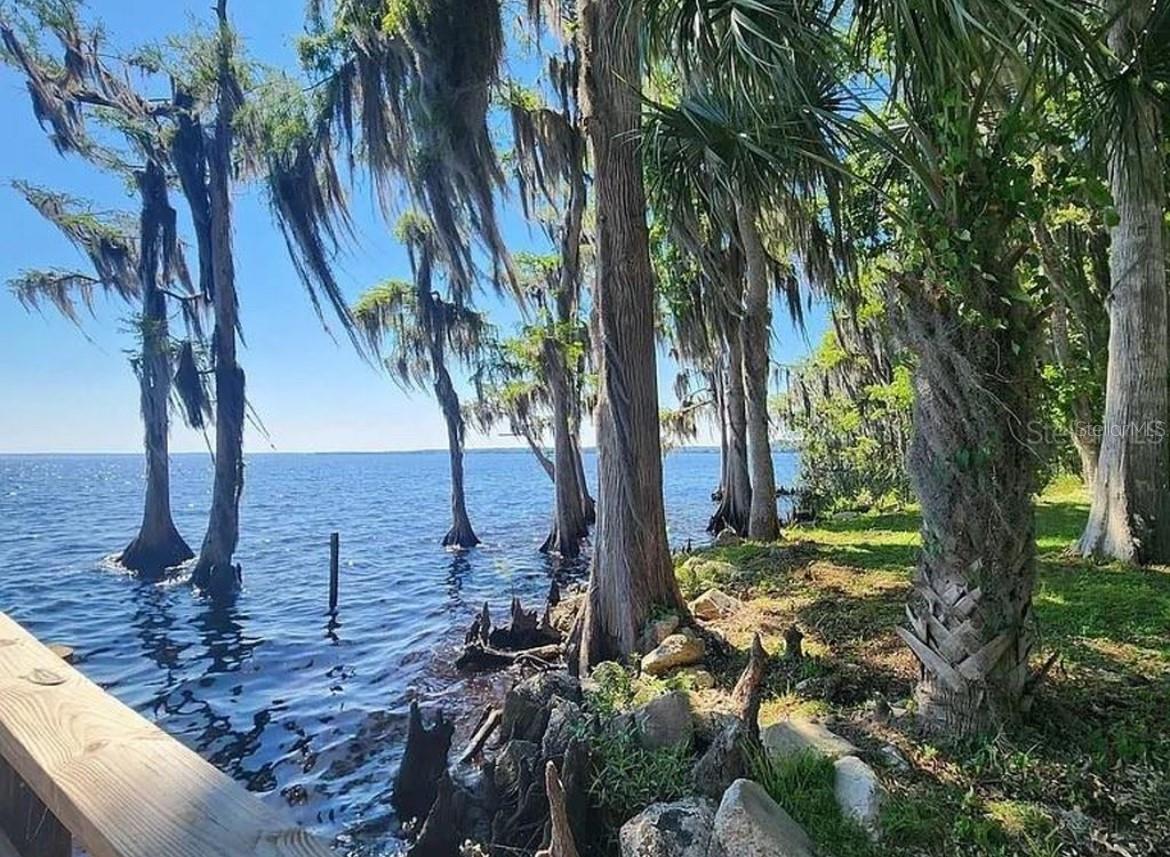 Image 8 of 15 For 731 Paradise Boulevard