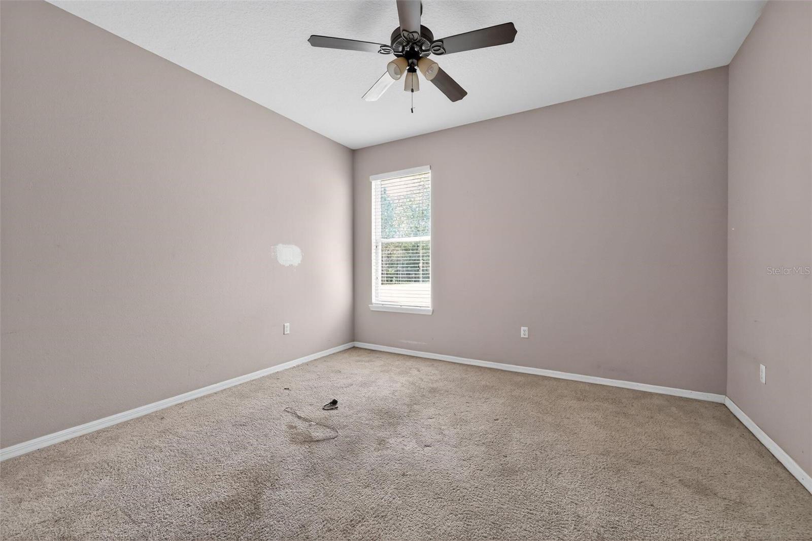 Image 24 of 30 For 4913 Pall Mall Street E