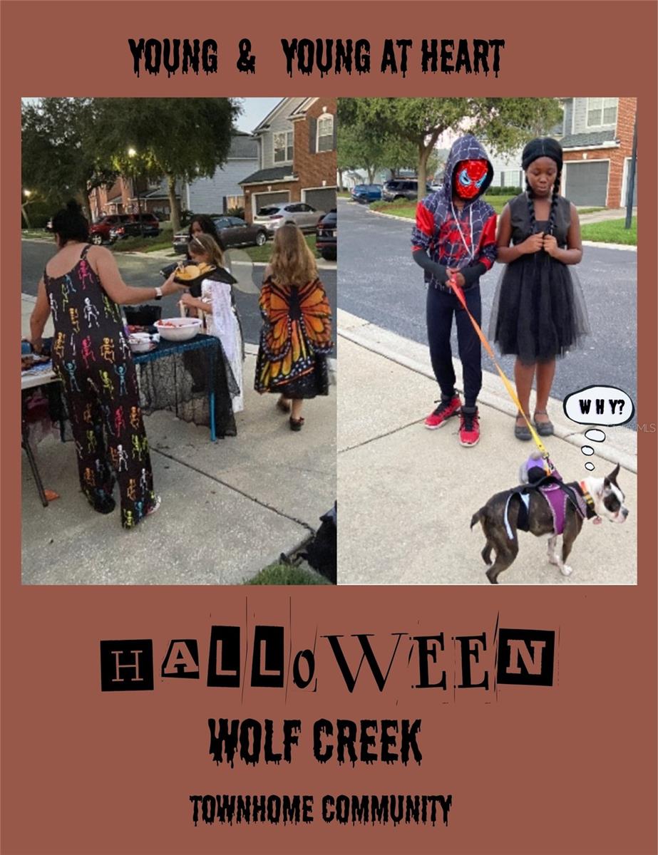 Image 30 of 32 For 13305 Stone Pond Drive