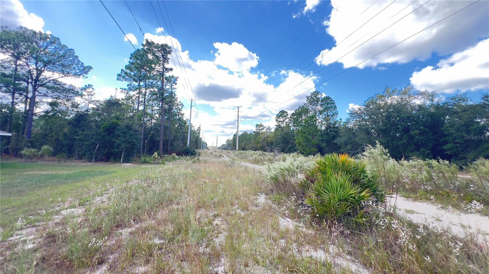 Image 27 of 27 For 3709 Wilhelm Street