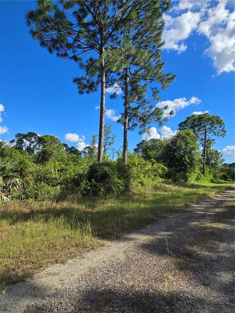 Image 3 of 5 For 421 Wilder Avenue S