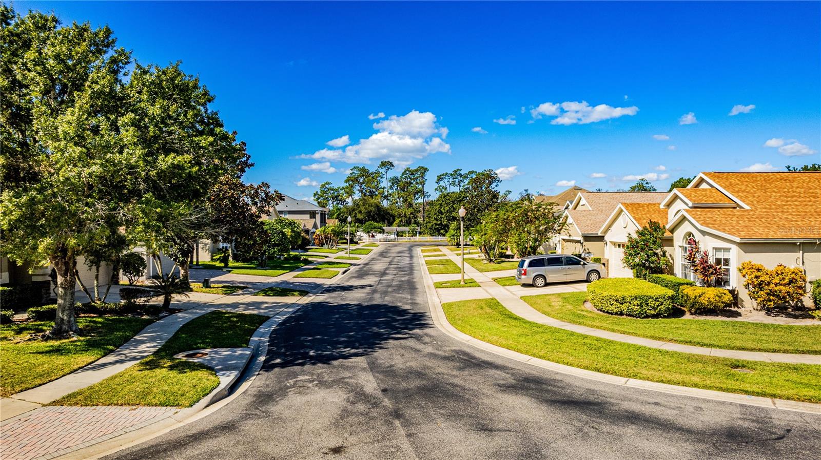 Image 49 of 52 For 9827 Pecky Cypress Way