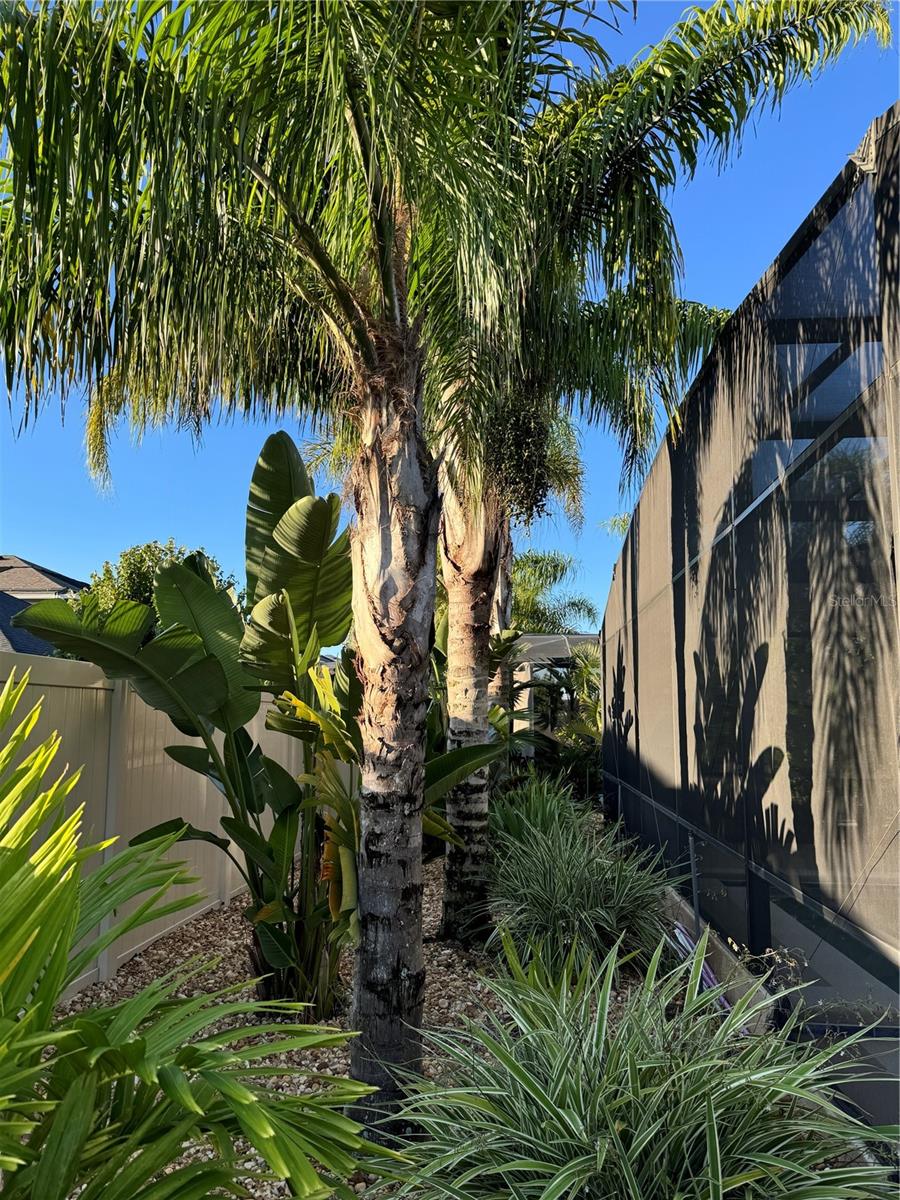 Image 6 of 40 For 3082 Irish Peach Drive