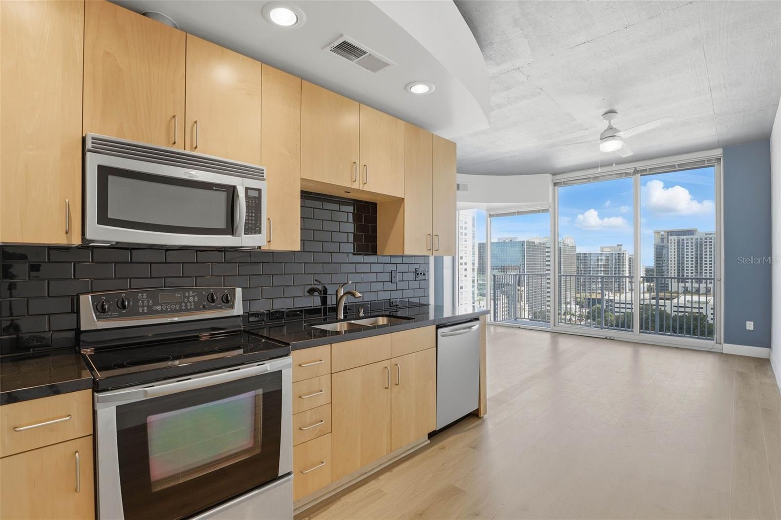 Image 3 of 24 For 155 Court Avenue 1103