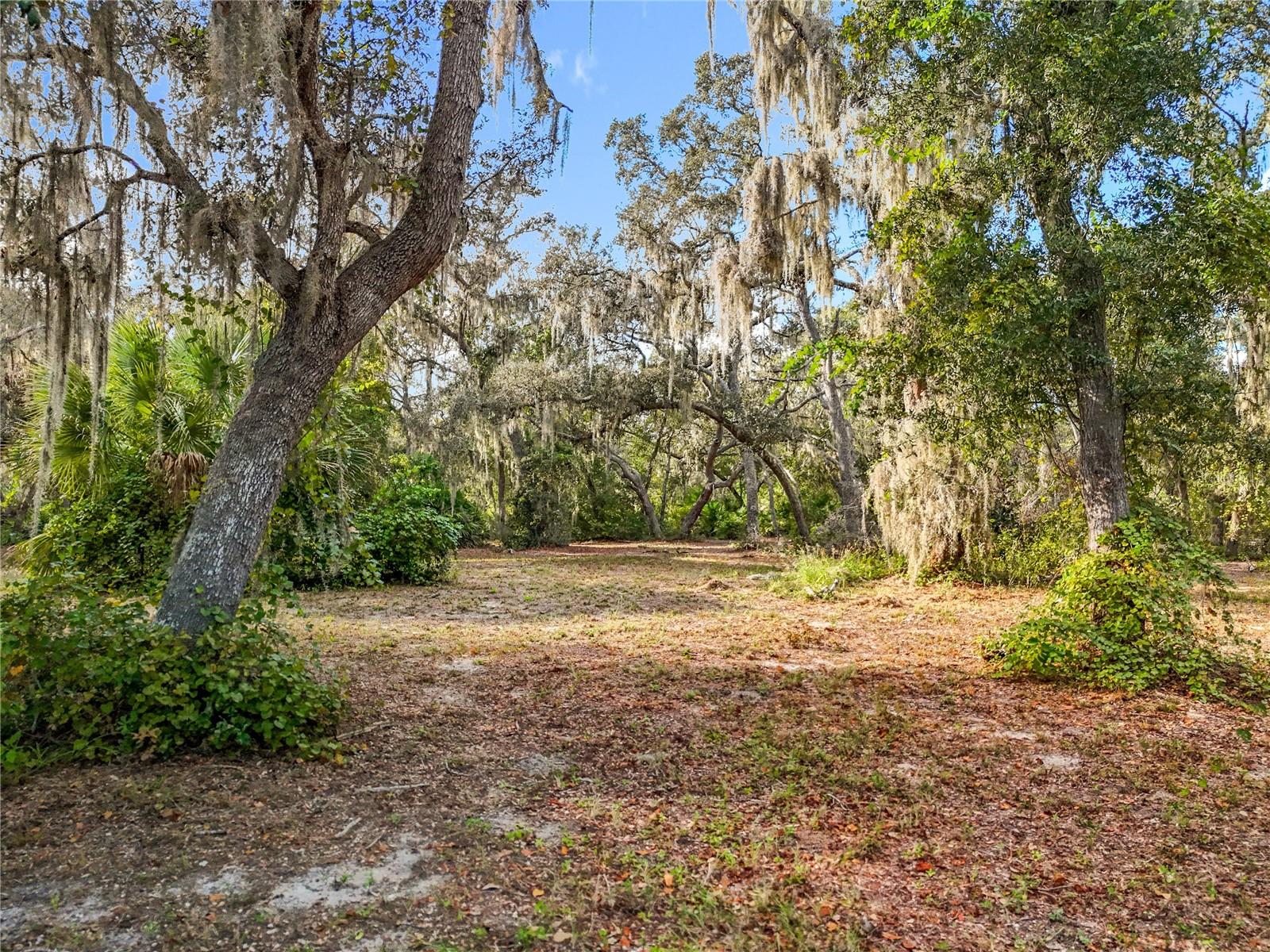 Image 11 of 22 For 3118 Bright Lake Circle