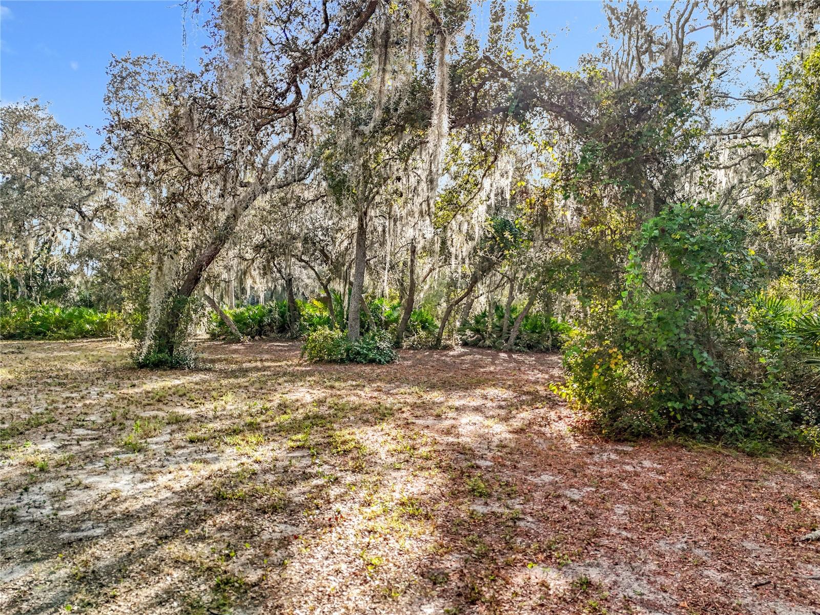 Image 12 of 22 For 3118 Bright Lake Circle
