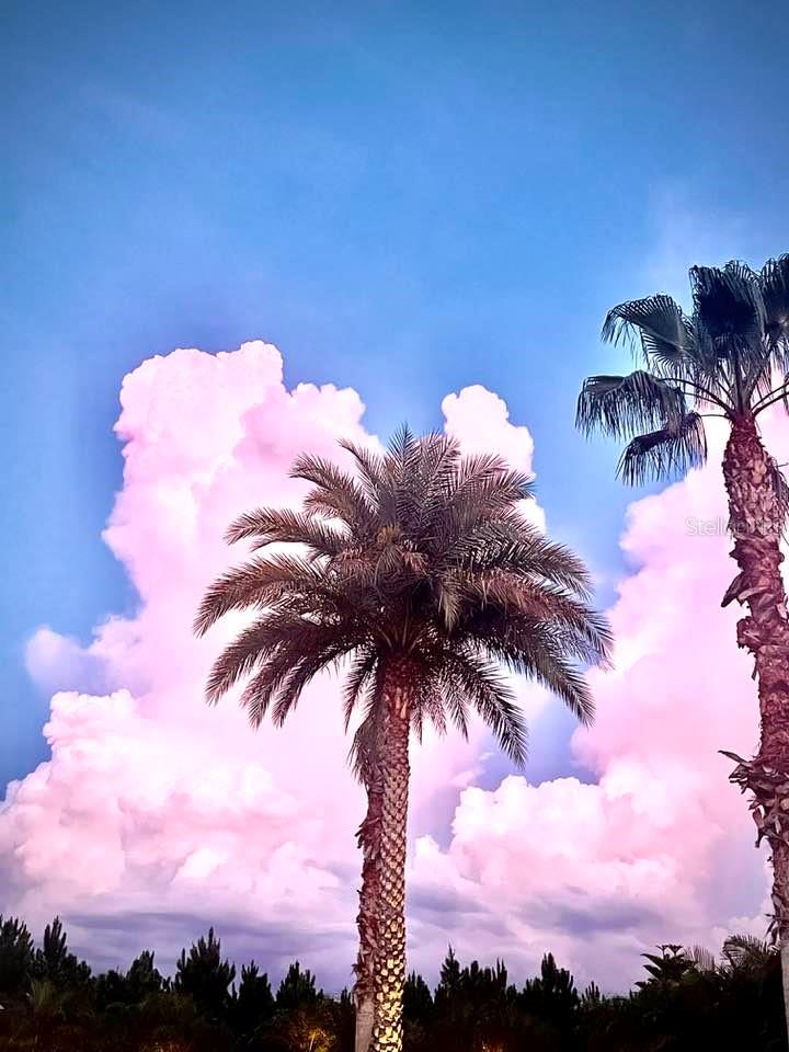 Image 56 of 56 For 540 Gary Player Drive