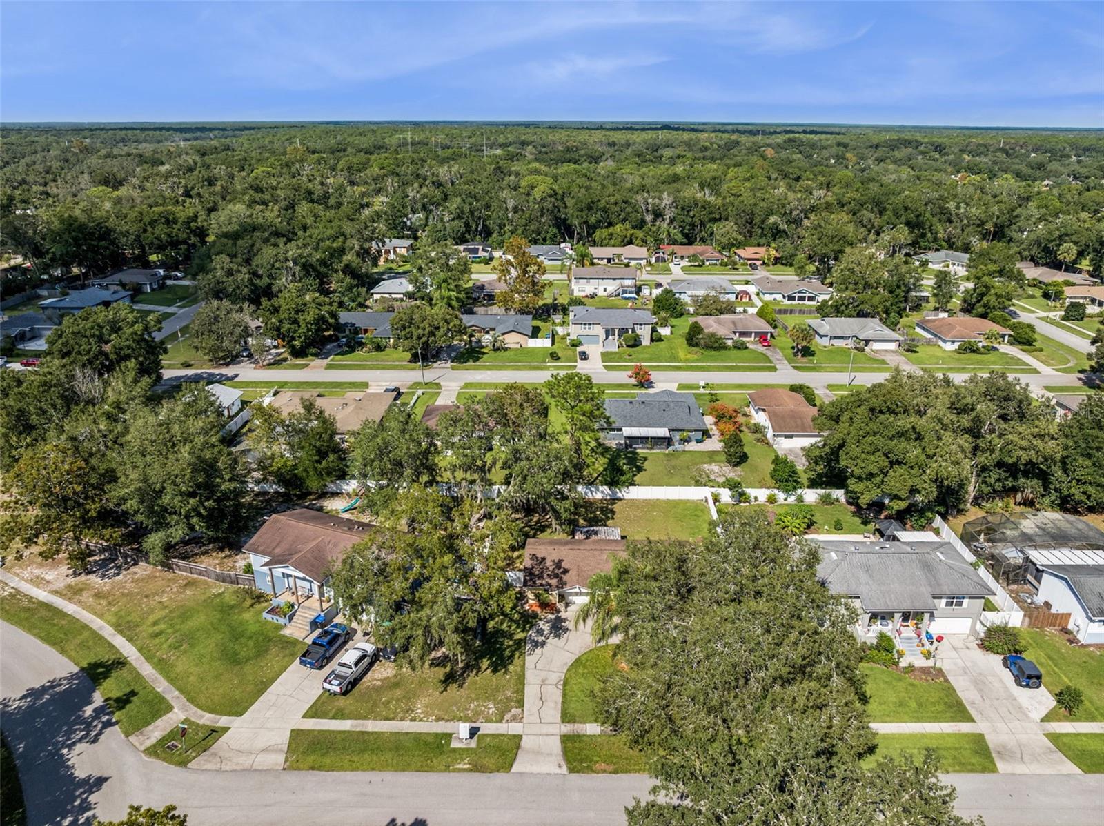 Image 35 of 48 For 1513 Leopard Ct