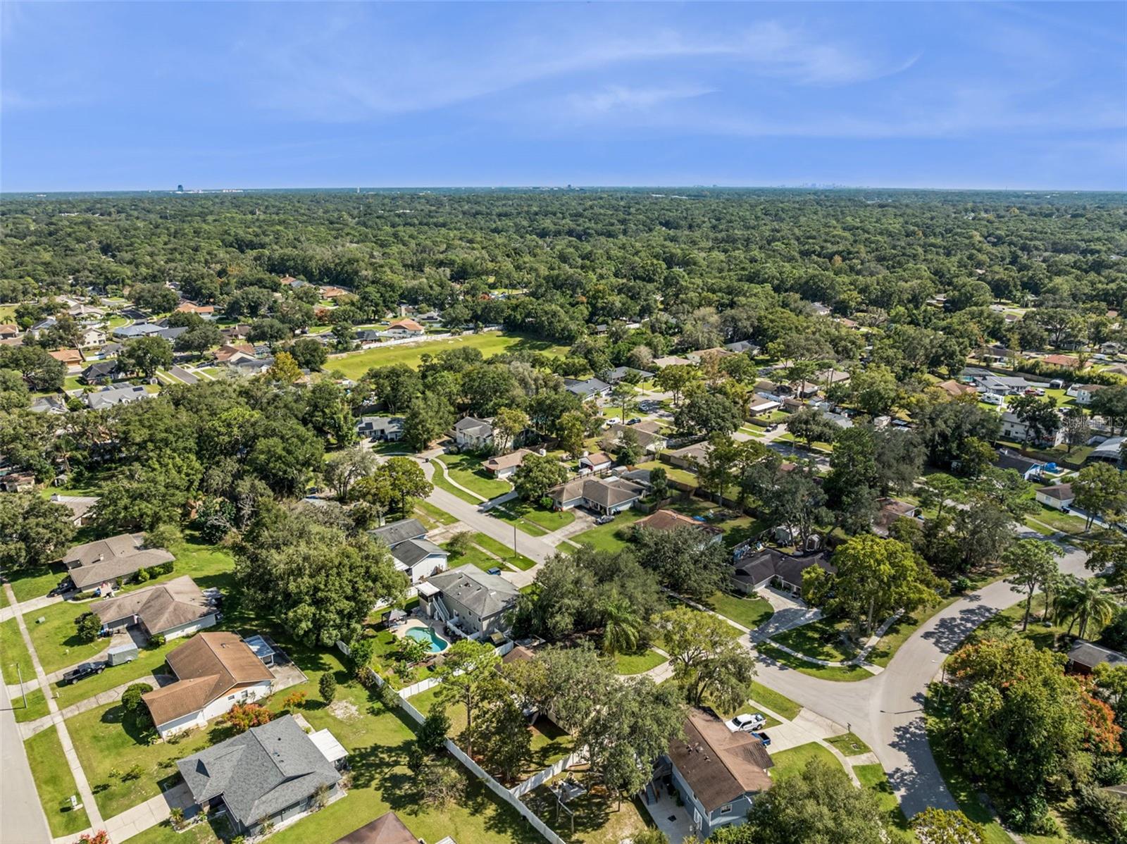 Image 37 of 48 For 1513 Leopard Ct