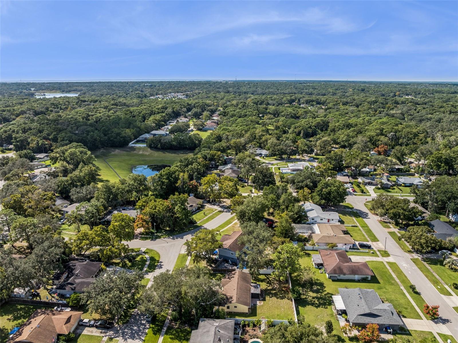 Image 38 of 48 For 1513 Leopard Ct